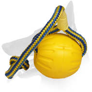 'Fun Lover' Belgian Malinois Foam Toy 'Fun Lover' Belgian Malinois Foam Toy
