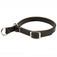 Belgian Malinois Leather Choke Dog Collar
