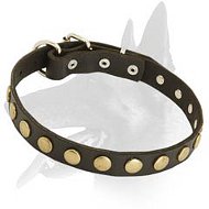 Leather Collar with brass circles for Belgian Malinois