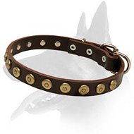Elegant Leather Collar with Doted Circles for Belgian Malinois