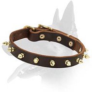 Elegant Spiked Leather Collar for Belgian Malinois