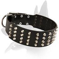 Wide Leather Collar with pyramids for Belgian Malinois