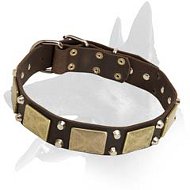 Wide Leather Collar with Nickel Pyramids for Belgian Malinois