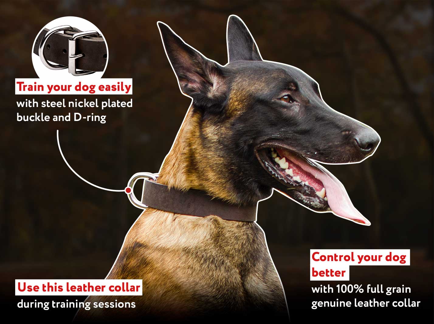 Get Belgian Malinois Leather Dog Collar