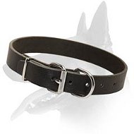 Everyday Leather Collar for Belgian Malinois