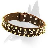 Leather Spiked and Studded Collar for Belgian Malinois