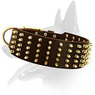 Stunning Spiked Leather Collar for Belgian Malinois