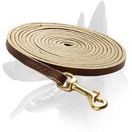 Long Leather Leash for Belgian Malinois