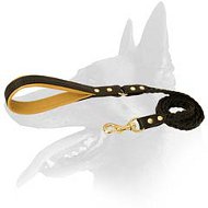 Cool Braided Leather Leash for Belgian Malinois