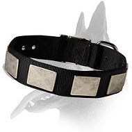 Nylon Collar with Vintage Plates for Belgian Malinois