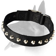 Wide Nylon Collar with nickel pyramids for Belgian Malinois