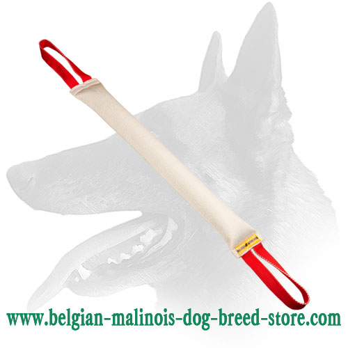 Belgian Malinois Training Fire Hose Dog Bite Tug With 2 Handles