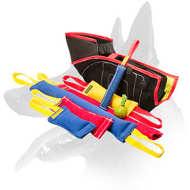 Buy this Great Belgian Malinois Bite Training Set and Get $36.70 Value Presents Buy this Great Belgian Malinois Bite Training Set and Get $36.70 Value Presents