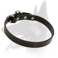 Sound Leather Collar for Belgian Malinois