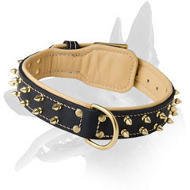 Royal Nappa Padded Leather Collar With Brass Spikes