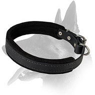 Premium Belgian Malinois Padded Leather Collar