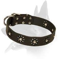 'Flower Blues' Stylish Belgian Malinois Leather Dog Collar