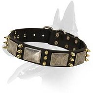 Exclusive Wide Leather Collar for Belgian Malinois