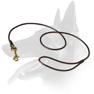 'Like a Star' Belgian Malinois Leather Leash for Dog Shows