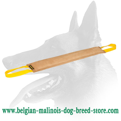 Handcrafted Leather Bite Tug for Belgian Malinois Training
