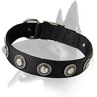 Everyday Nylon Collar With Dazzling Decorations
