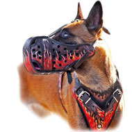 Hand painted Leather Harness for Belgian Malinois Hand painted Leather Harness for Belgian Malinois