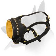 Stylish Studded Leather Muzzle for Belgian Malinois