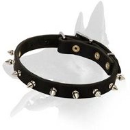 Spiked Leather Collar for Belgian Malinois