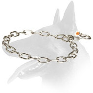 Belgian Malinois Long Term Stainless Steel Fur Saver