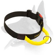 Nylon Collar with Handle and Quick Release Buckle for Belgian Malinois