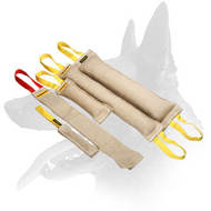 Buy Now Belgian Malinois Training Set and Get Amazing Gift ( value $15.29) Buy Now Belgian Malinois Training Set and Get Amazing Gift ( value $15.29)