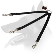 'Triple Control' Belgian Malinois Nylon Leash