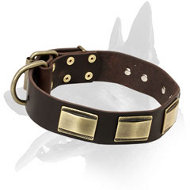 Designer Leather Collar With Vintage Plates