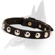 New Striking Leather Collar for Your Belgian Malinois