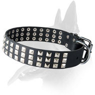 Stylish Leather Collar With Steel Nickel Plated Cones