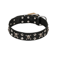 FDT Artisan 'Rock 'n' Roll Style' Leather Belgian Malinuas Collar with Skulls, Bones and Studs 1 1/2 inch (40 mm) wide