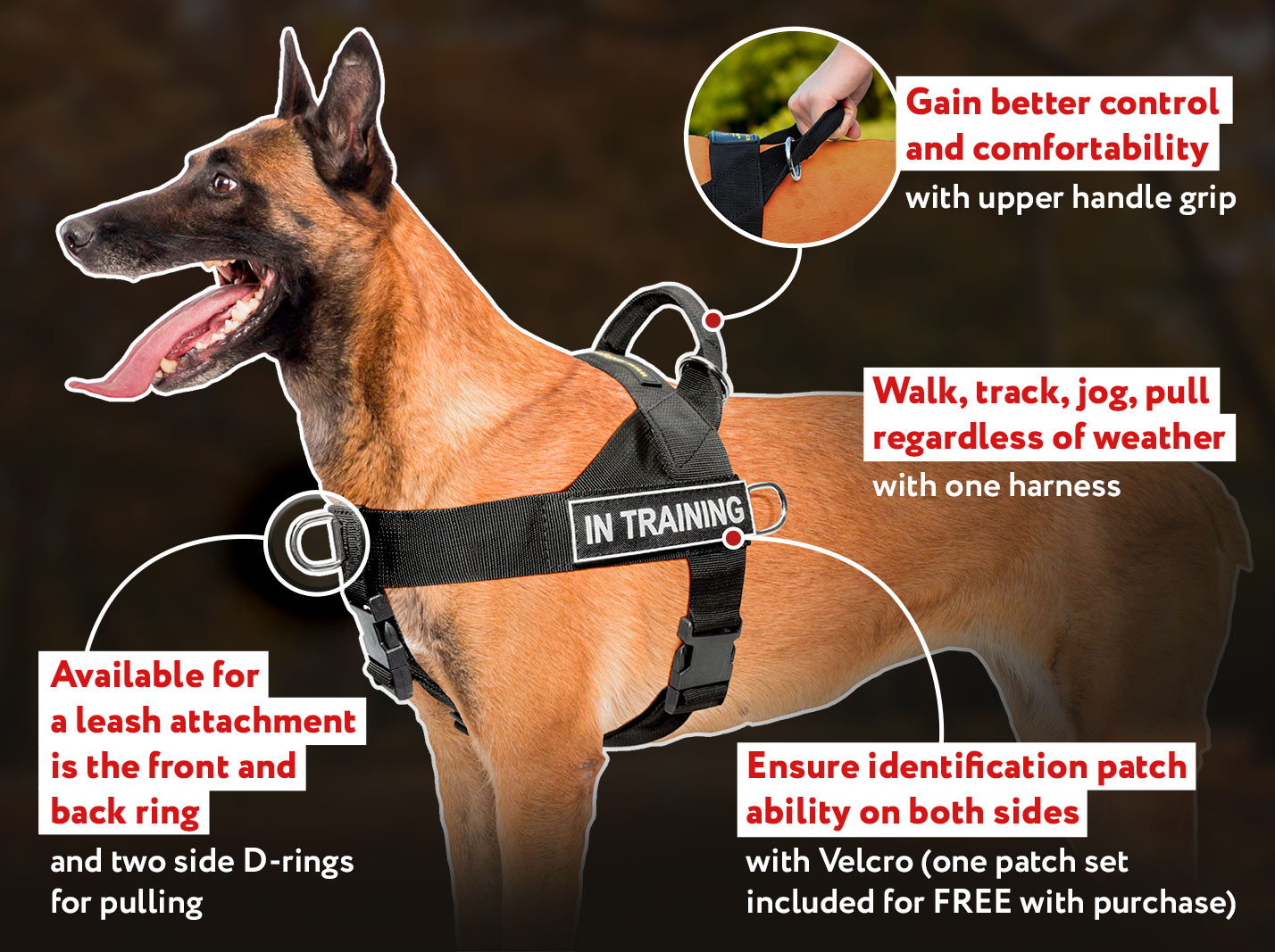 ID Patches for Belgian Malinois Harnesses and Collars : Belgian Malinois  Breed: Dog Harness, Belgian Malinois dog muzzle, Belgian Malinois dog collar,  Dog leash