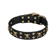 'Jolly Rojer' FDT Artisan Leather Belgian Malinois Collar with Pirate Skulls and Studs - 1 1/2 inch (40 mm) wide