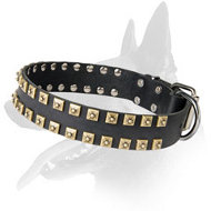Stylish Leather Collar With Studs "Caterpillar"