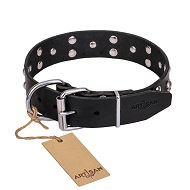 FDT Artisan 'Mystic Skulls' Decorated Leather Belgian Mallinois Dog Collar with Skulls and Studs 1 1/2 inch (40 mm)