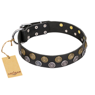 "Romantic Breeze" FDT Artisan Black Leather Belgian Malinois Collar with Elegant Circles