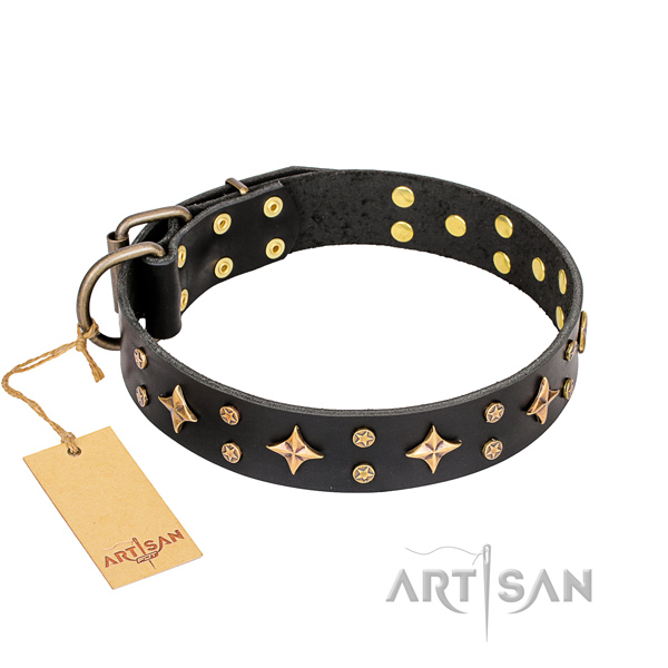 'A La Mode' FDT Artisan Handcrafted Black Leather Belgian Malinois Collar