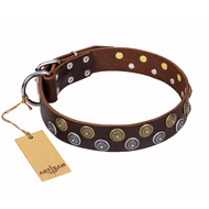 'Strong Shields' Wide FDT Artisan Leather Belgian Malinois Collar with Gold and Silver-like Circles