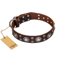 'Age of Beauty' FDT Artisan Incredible Studded Brown Leather Belgian Malinois Collar