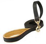 Universal Leather Leash For Belgian Malinois