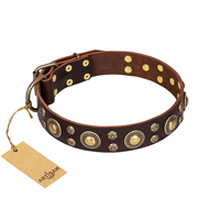 'Flower Melody' FDT Artisan Brown Leather Belgian Malinois Collar with Mixed Studs