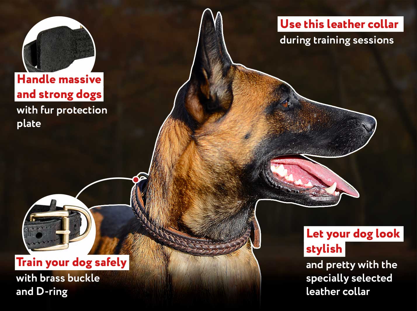 Get Belgian Malinois Braided Leather Dog Collar