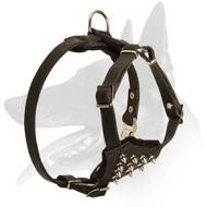 'Full Control' Strong and Stylish Belgian Malinois Puppy Harness 'Full Control' Strong and Stylish Belgian Malinois Puppy Harness
