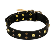FDT Artisan 'Heavy Metal' Leather Belgian Malinois Collar with Skulls and Studs 1 1/2 inch (40 mm)