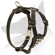 'Noble Puppy' Trendy Designed Belgian Malinois Harness 'Noble Puppy' Trendy Designed Belgian Malinois Harness